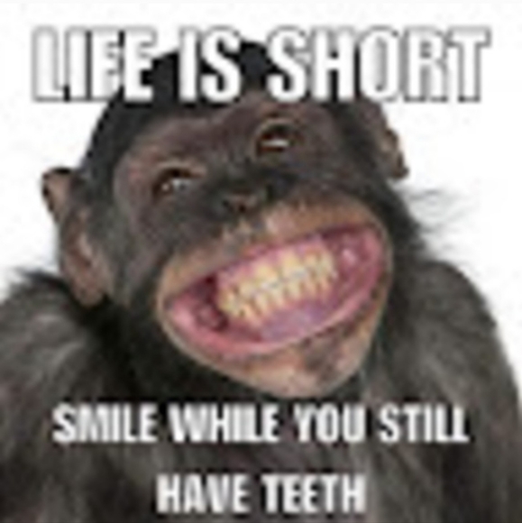 Meet your Posher, Christina - Picture 9 of 10